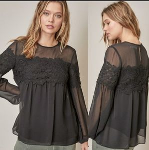 Black chiffon lace Blouse Nwt